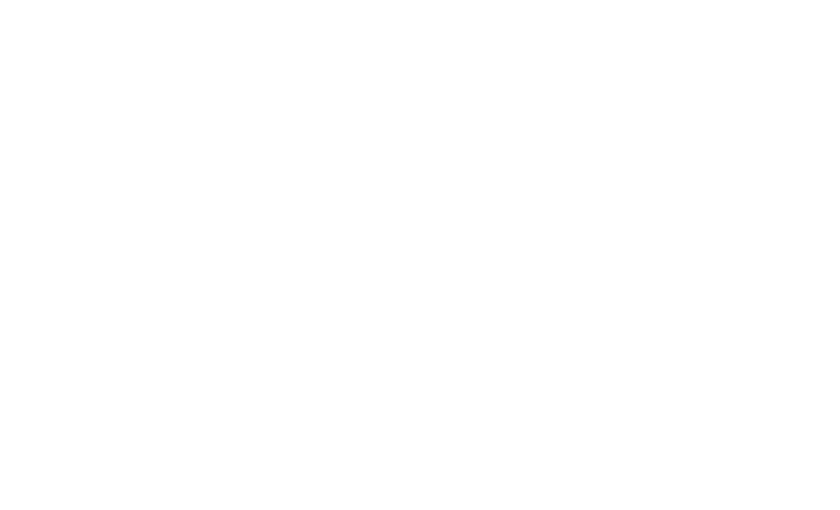 bits