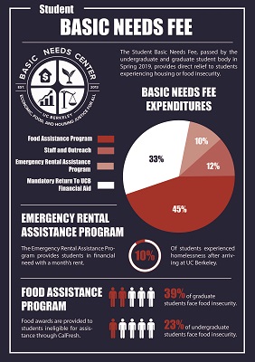 Students create an infographic for UC Berkeley's Basic Needs Center, fall 2019