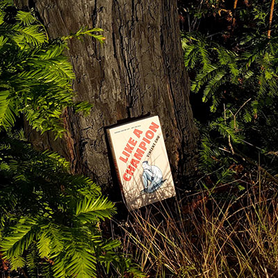 photo of Vincent Chu's short story collection against a tree