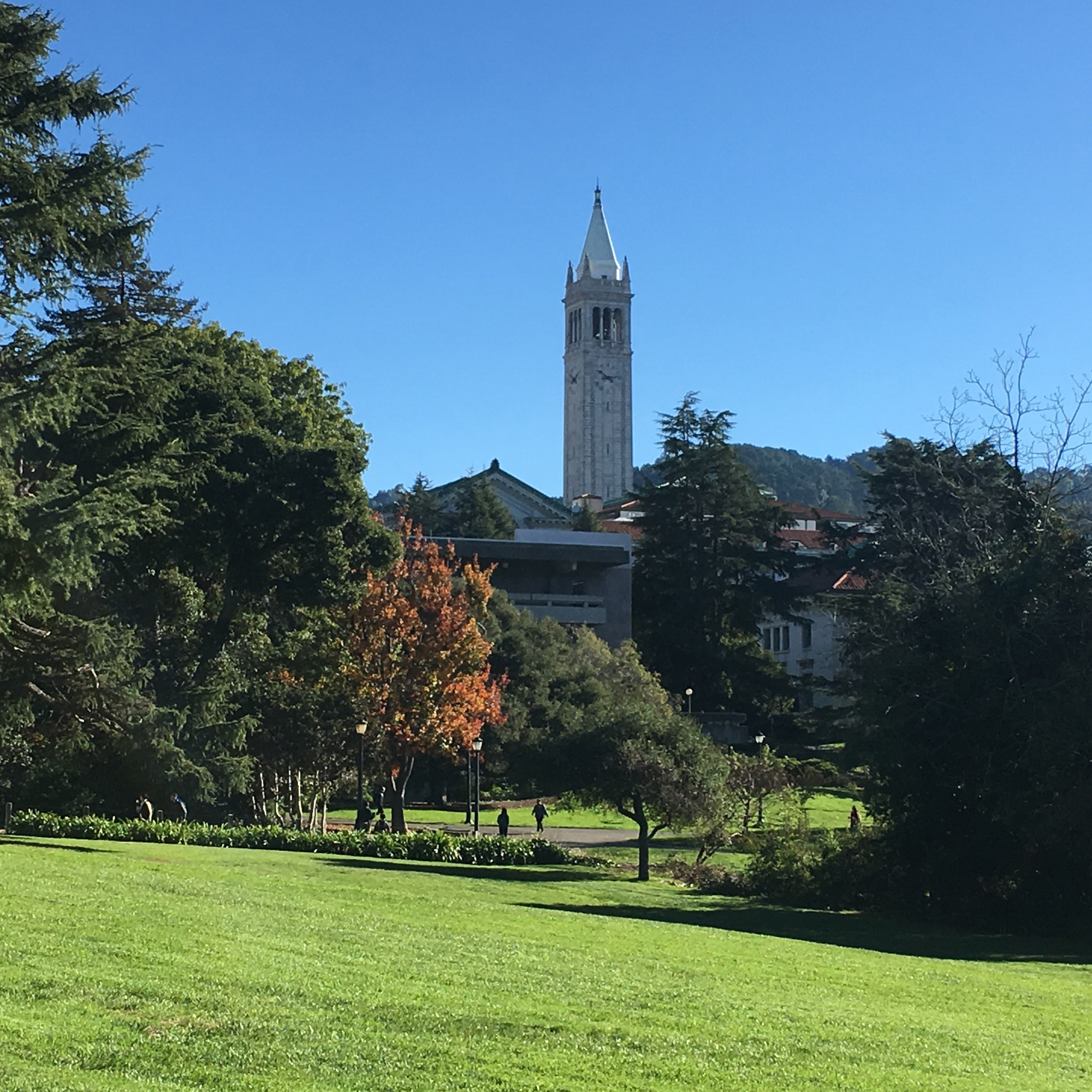 Campanile on UC Berkeley campus