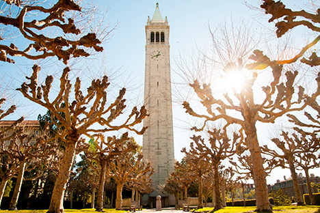 The treasured Campanile, a symbol of Berkeley and the clock tower that Sixiong sees everyday while at the Haas School of Business.