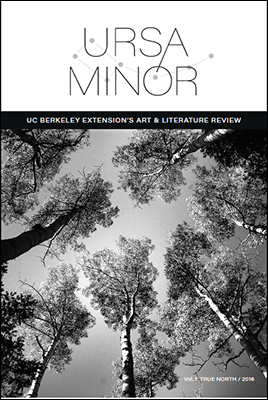 Ursa Minor, Extension's literary journal 2016