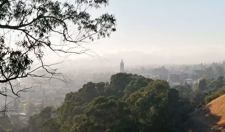 View from the "Big C" on campus