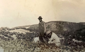 Two Japanese immigrants checking on crops in a southern California field in the early 20th century
