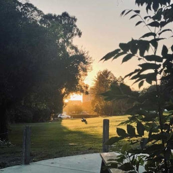 Photo of sunset on UC Berkeley campus