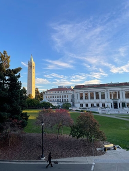 Afternoon photo of UC Berkeley Campanile and buildings