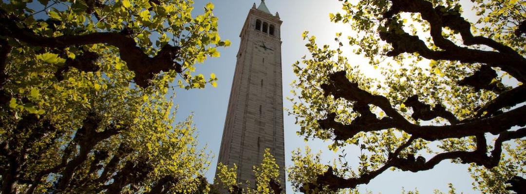 UC Berkeley's famous campanille bell tower framed by trees on campus