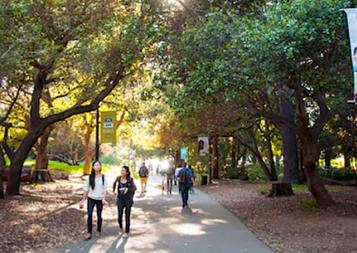 Students walking on a path on UC Berkeley campus
