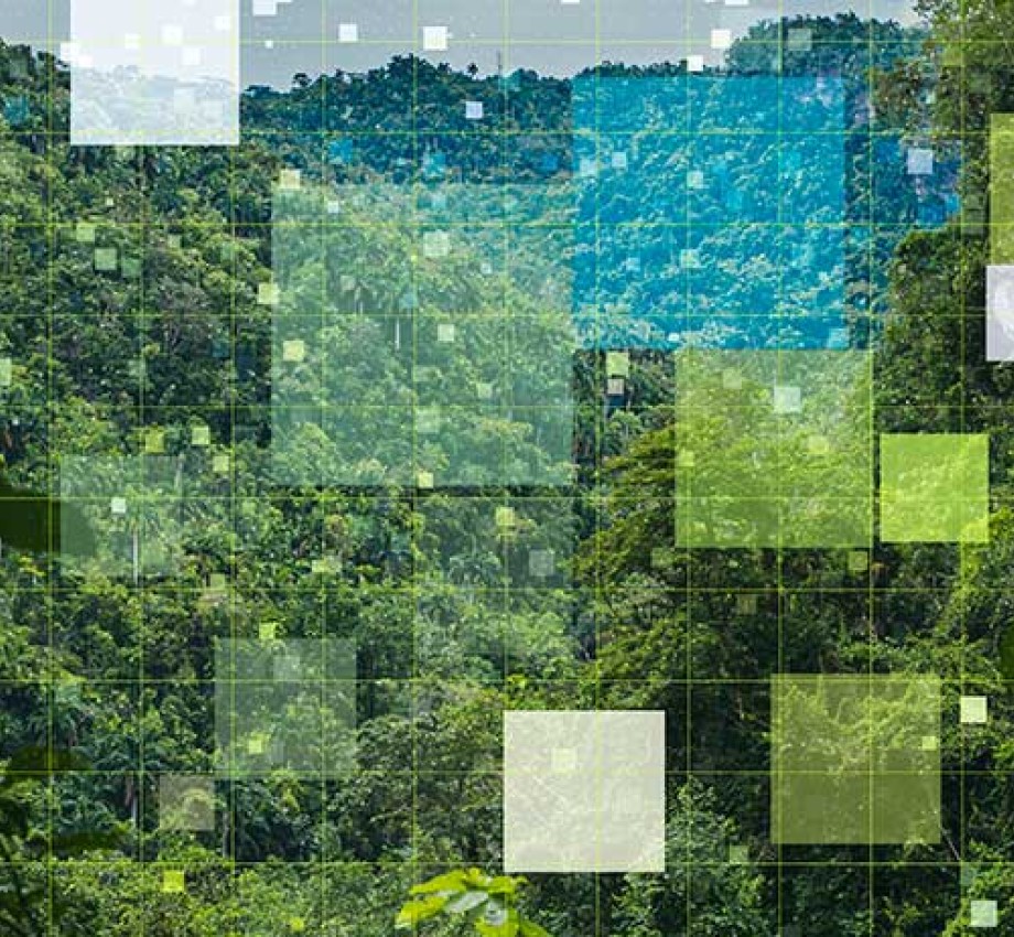 Abstract smart nature scene, networking, technology with network communication, measure the nature, power of nature
