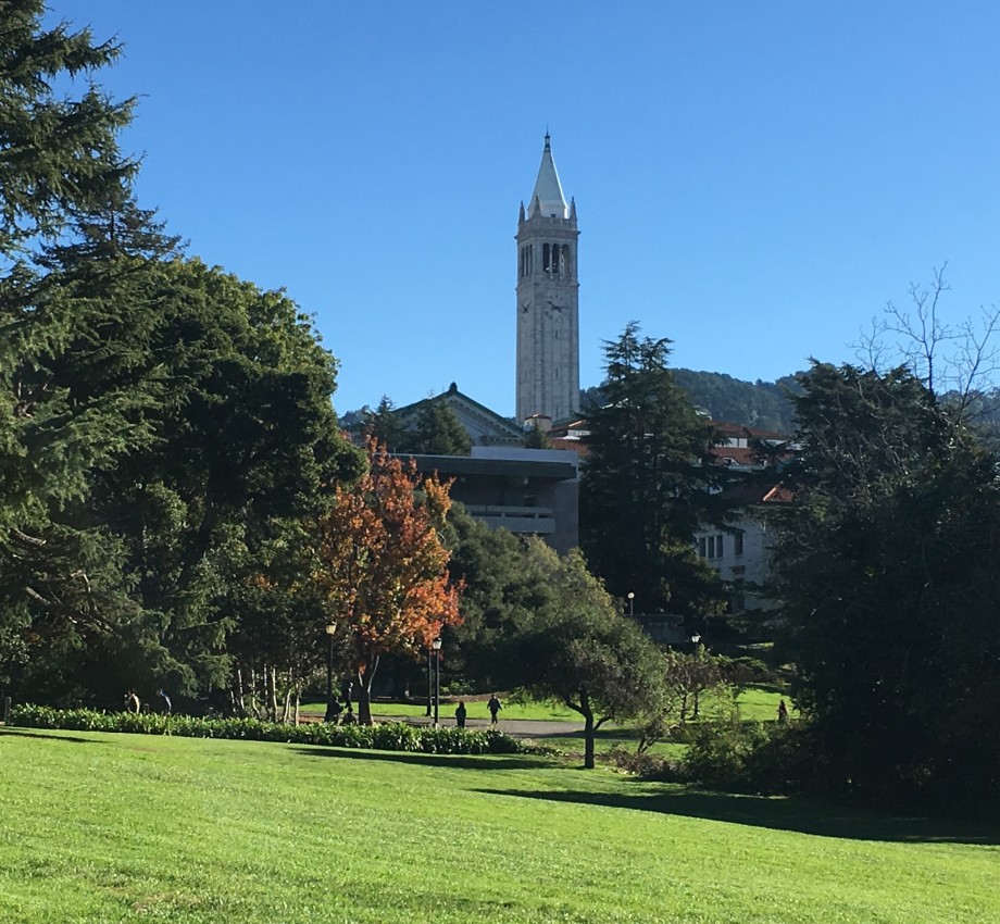 Beautiful open park on Berkeley campus