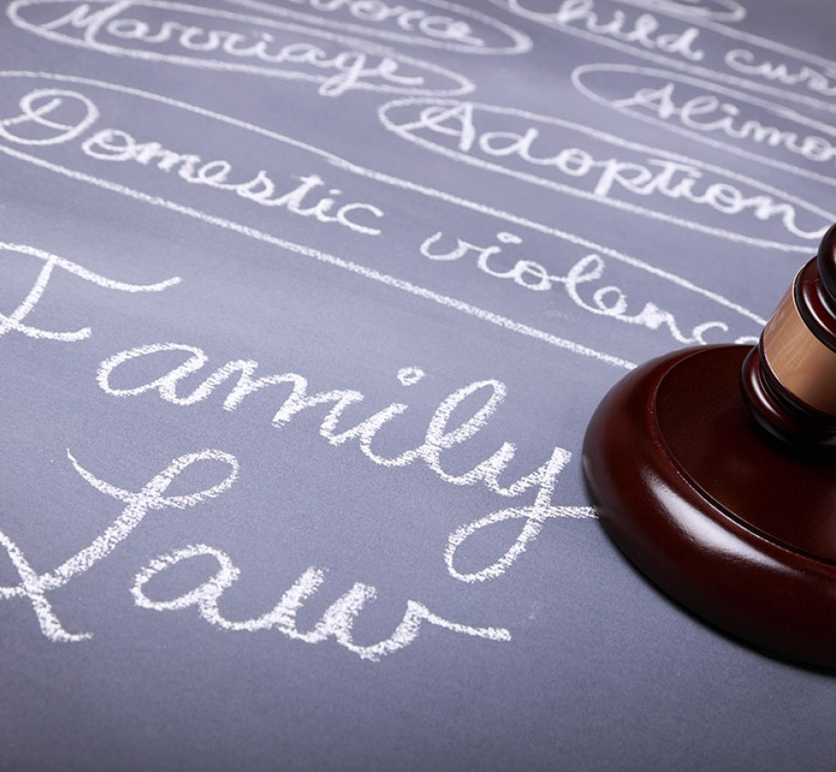 Image of judge's gavel to the right of words such as family law and domestic violence on a purple background