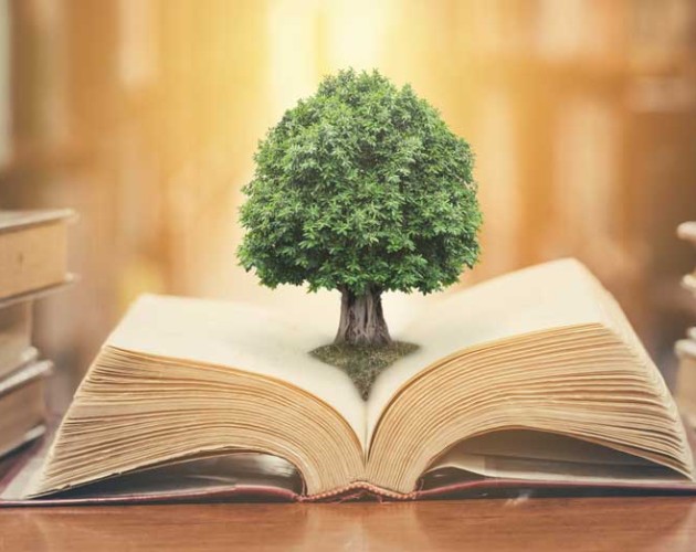 Small tree growing in the center of an opened book on a desk in a library