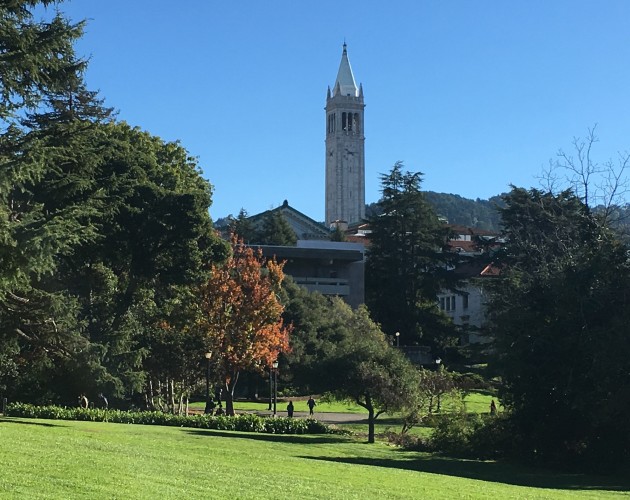 Beautiful open park on Berkeley campus