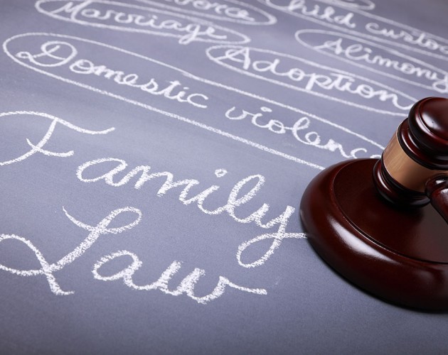 Image of judge's gavel to the right of words such as family law and domestic violence on a purple background