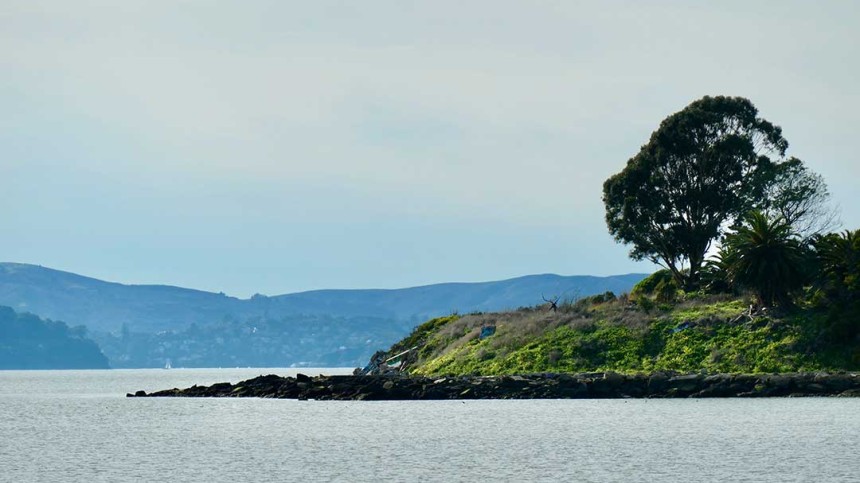 Photo of Albany beach