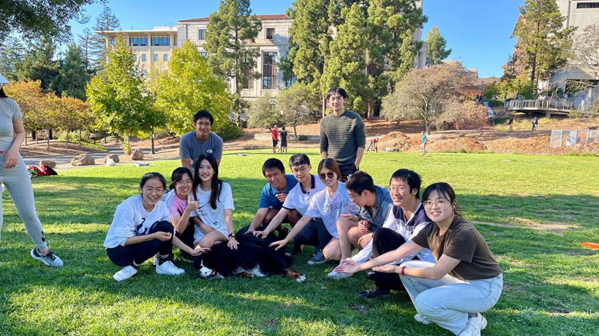 Group of international students posing on the grasss