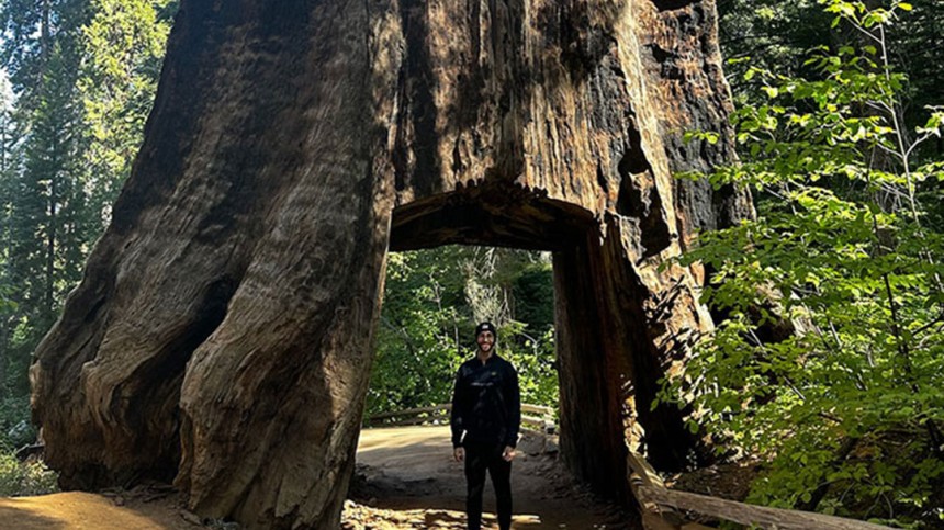 Standing among the redwoods